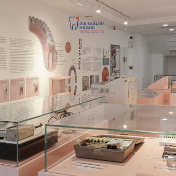 Türkiye’nin İlk Diş Sağlığı Müzesi’ni Keşfedin! 🏛️✨